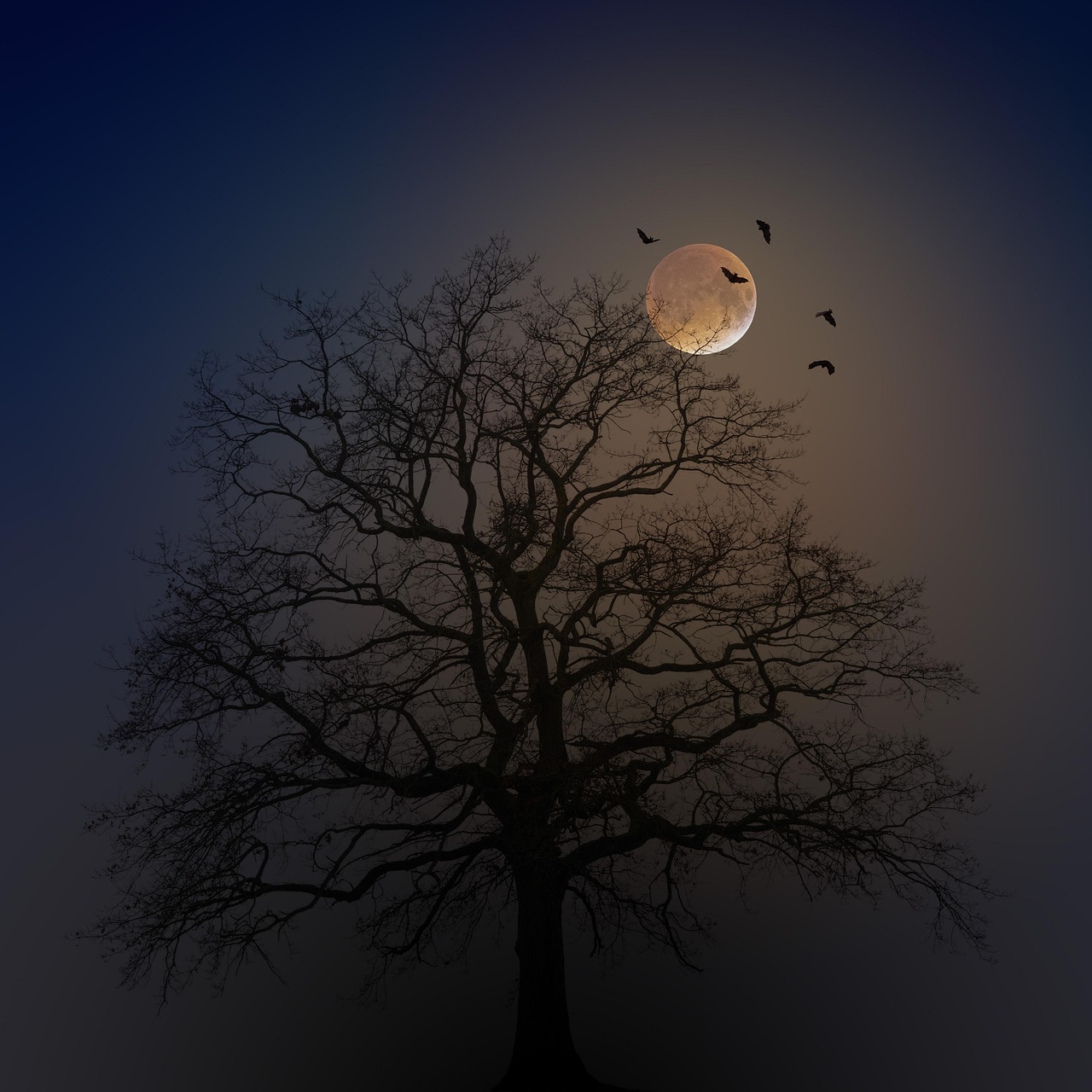 halloween, tree, silhouette, moon, fog, bats, creepy, horror, nature, weird, dark, mysterious, night, magic, black, atmosphere, branches, lighting, mystical, blue, happyhalloween, halloweenchallenge